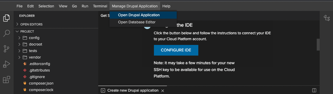 Open your local Cloud IDE website to see your new cloned site.
