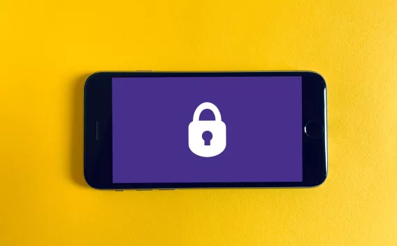 Mobile phone with secure logo
