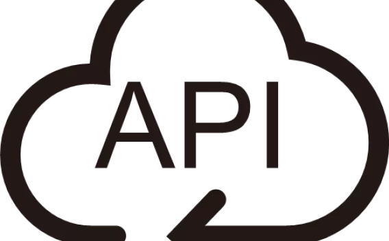 API icon