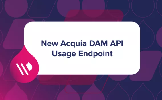 New Acquia DAM API Usage Endpoint